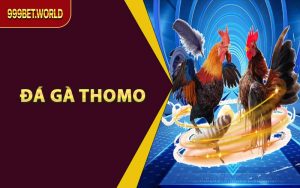 Mẹo Cá Cược - 999bet - Jexio