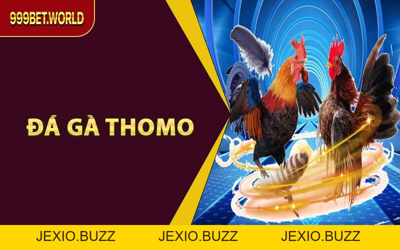 Xem & Cược Đá Gà Thomo Trực Tuyến – Trọn Vẹn Tại 999BET - Jexio