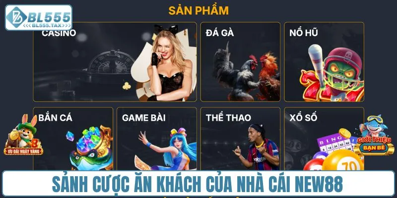 Nhà Cái New88 - Cổng Cược Đa Dạng Dành Cho Mọi Game Thủ - Jexio