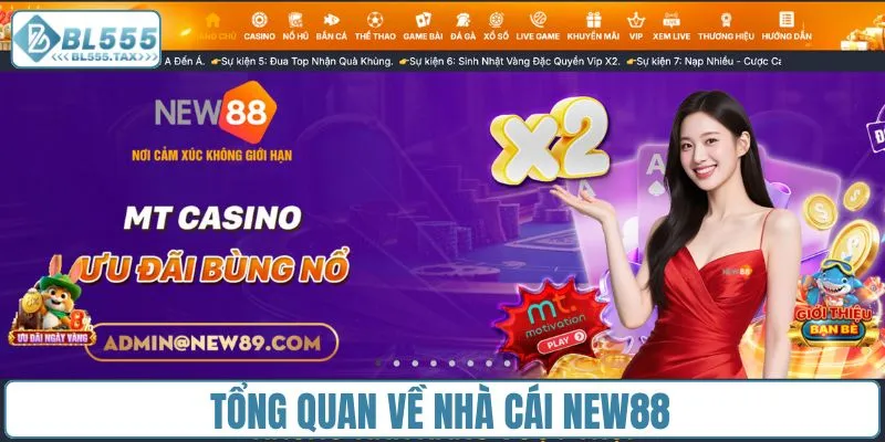 Nhà Cái New88 - Cổng Cược Đa Dạng Dành Cho Mọi Game Thủ - Jexio
