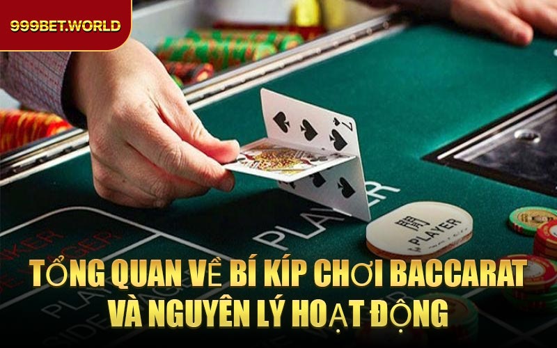 Bí Kíp Chơi Baccarat - Chiến thuật chơi để thắng lớn 2026 - Jexio