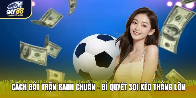 Cầu Đẹp SKY88 - Cách Soi Cầu Dễ Hiểu Cho Người Mới - Jexio