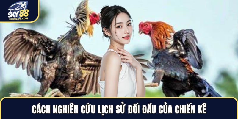 Đá Gà SKY88 - Trải Nghiệm Cá Cược Kê Chiến Đỉnh Cao 2026 - Jexio