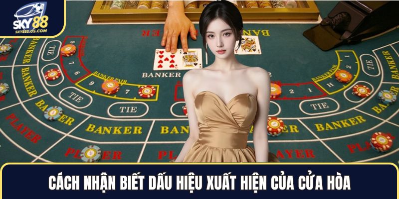 Soi Cầu Bacarat - Những Nhịp Điệu Bí Ẩn Đằng Sau Lá Bài 2026 - Jexio