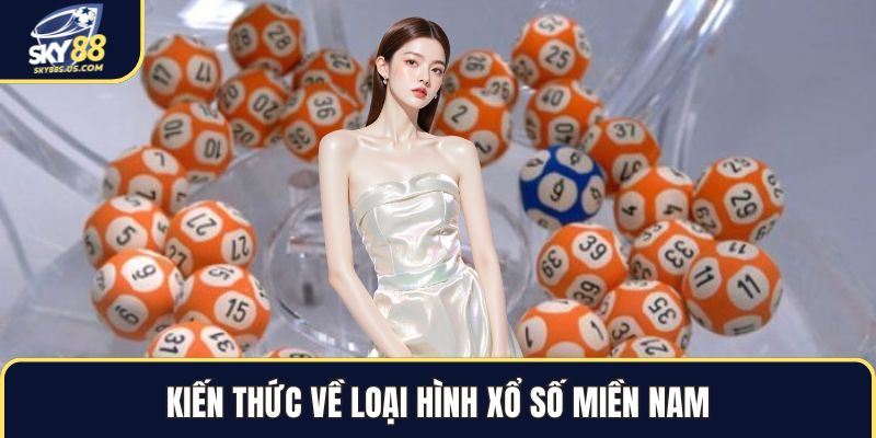 Xổ Số Miền Nam - Cách Theo Dõi Và Tra Cứu Kết Quả Chuẩn 2026 - Jexio