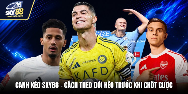 Dòng Tiền SKY88 - Cách Đọc Dòng Cược Và Biến Động Kèo - Jexio