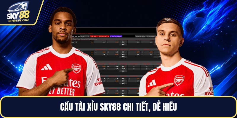 Cầu Tài Xỉu SKY88 - Cách Đọc Cầu Và Theo Dõi Kết Quả - Jexio
