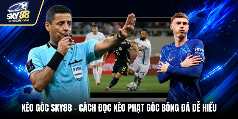 Tin Tức - Điểm Tin Nóng Hổi Từ Thế Giới Cá Cược Online 2026 - Jexio