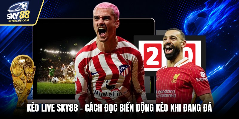 Cầu Đẹp SKY88 - Cách Soi Cầu Dễ Hiểu Cho Người Mới - Jexio